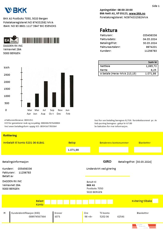Norway BKK electricity business utility bill template in Word and PDF formats, good for address prove